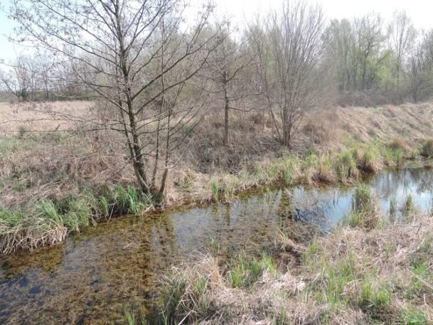 roślinność 30% Odległość od najbliższego koryta rzeki (nazwa rzeki) 0,95 km (Kanał Bogdanka Wola Wereszczyńska) Otoczenie zbiornika podmokłe lasy, łąki, droga (a) (b) Fotografia 8 a,b Stanowisko nr 7.
