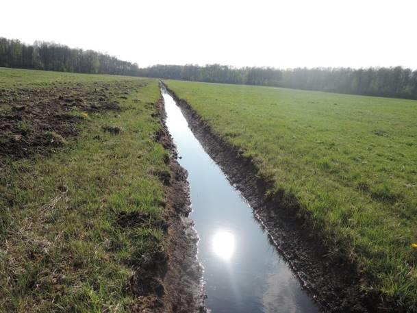 rzeki (nazwa rzeki) 1,18 km (Kanał Bogdanka Wola Wereszczyńska) Otoczenie zbiornika Podmokły las, łąki, droga (a) (b) Fotografia 10 a,b Stanowisko nr 9. Stanowisko nr 10 Tabela 32.