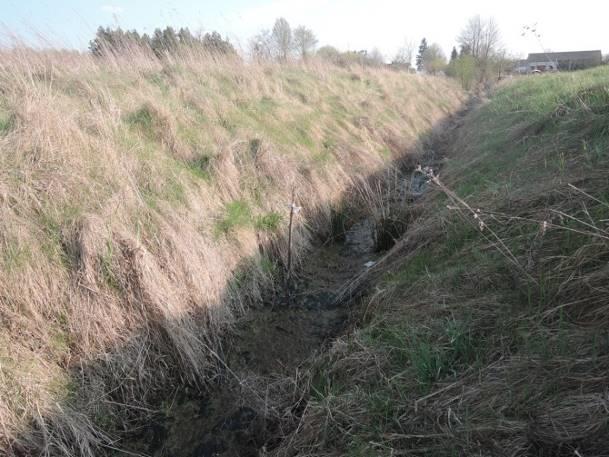 łąki, pola uprawne, droga, zadrzewienia (a) (b) Fotografia 12 a,b Stanowisko nr 11. Stanowisko nr 12 Tabela 34. Charakterystyka stanowiska nr 12.