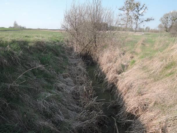894" E Najbliższa miejscowość Ostrówek Podyjski Typ i geneza zbiornika zarośnięty rów melioracyjny Powierzchnia zbiornika Szerokość cieku 0,5 m Głębokość zbiornika/cieku 0,2 0,3