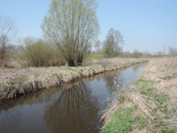 Otoczenie zbiornika łąki, pola uprawne, zadrzewienia, droga (a) (b) Fotografia 16 a,b Stanowisko nr 15. Stanowisko nr 16 Tabela 38. Charakterystyka stanowiska nr 16.
