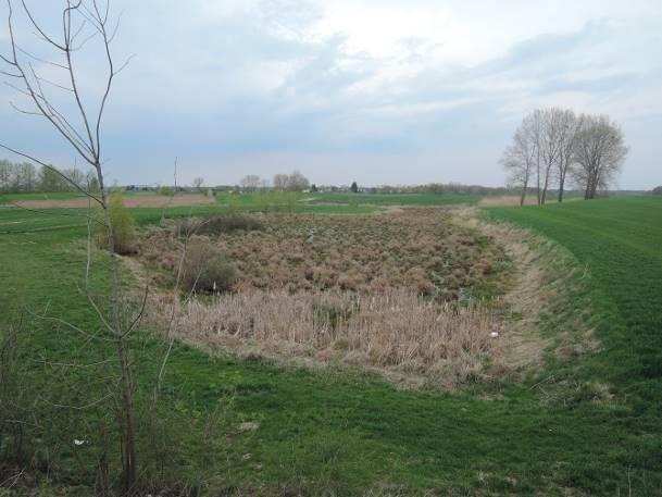 Stanowisko nr 45 Tabela 67. Charakterystyka stanowiska nr 45. Współrzędne geograficzne 51 14' 36.222" N, 23 11' 57.