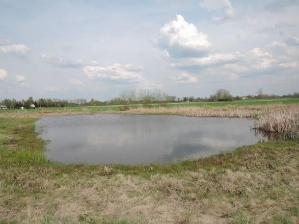 Stanowisko nr 47 Tabela 69. Charakterystyka stanowiska nr 47. Współrzędne geograficzne 51 16' 34.416" N, 23 11' 18.