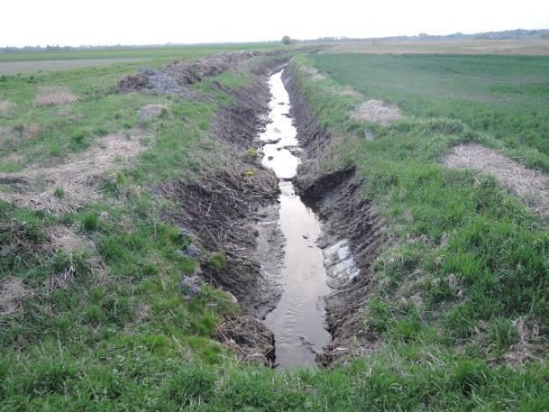 Busówna) Otoczenie zbiornika pola uprawne, łąki, droga, zbiorniki wodne (a) (b) Fotografia 56 a,b Stanowisko nr 55. Stanowisko nr 56 Tabela 78. Charakterystyka stanowiska nr 56.