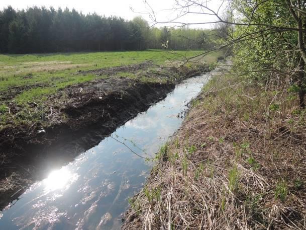 2.9 Wyniki inwentaryzacji gadów. 2.9.1 Charakterystyka miejsc poszukiwań (odłowów) gadów Oprócz okazjonalnych stwierdzeń gadów przy okazji inwentaryzacji innych grup systematycznych, na czterech