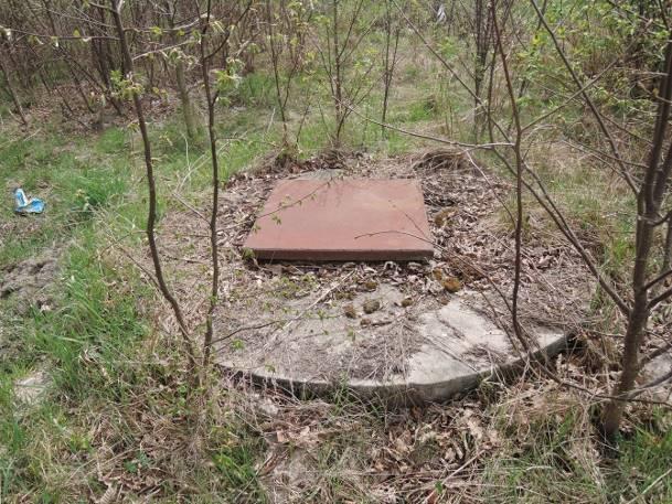 Stanowisko nr 3 Tabela 87. Charakterystyka stanowiska nr 3. Współrzędne geograficzne Najbliższa miejscowość Charakterystyka stanowiska 51 17' 16.598" N, 23 14' 18.