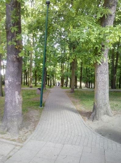 ciąg pieszo-rowerowy z