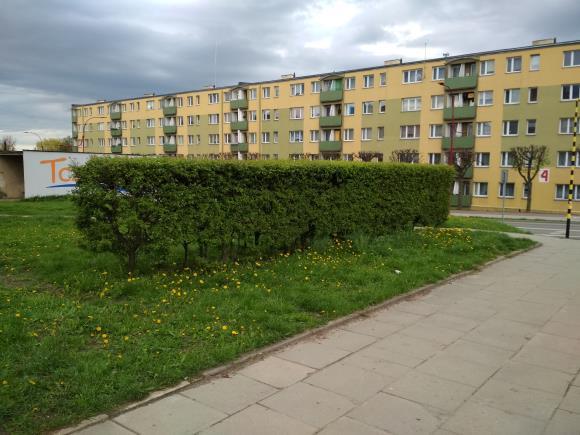 Saperskiej na ul.