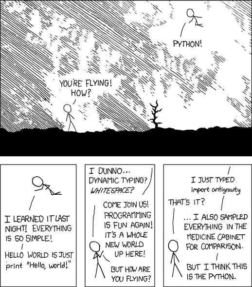 Dlaczego Python?