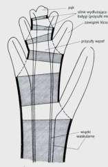 MERYSTEM INTERKALARNY -