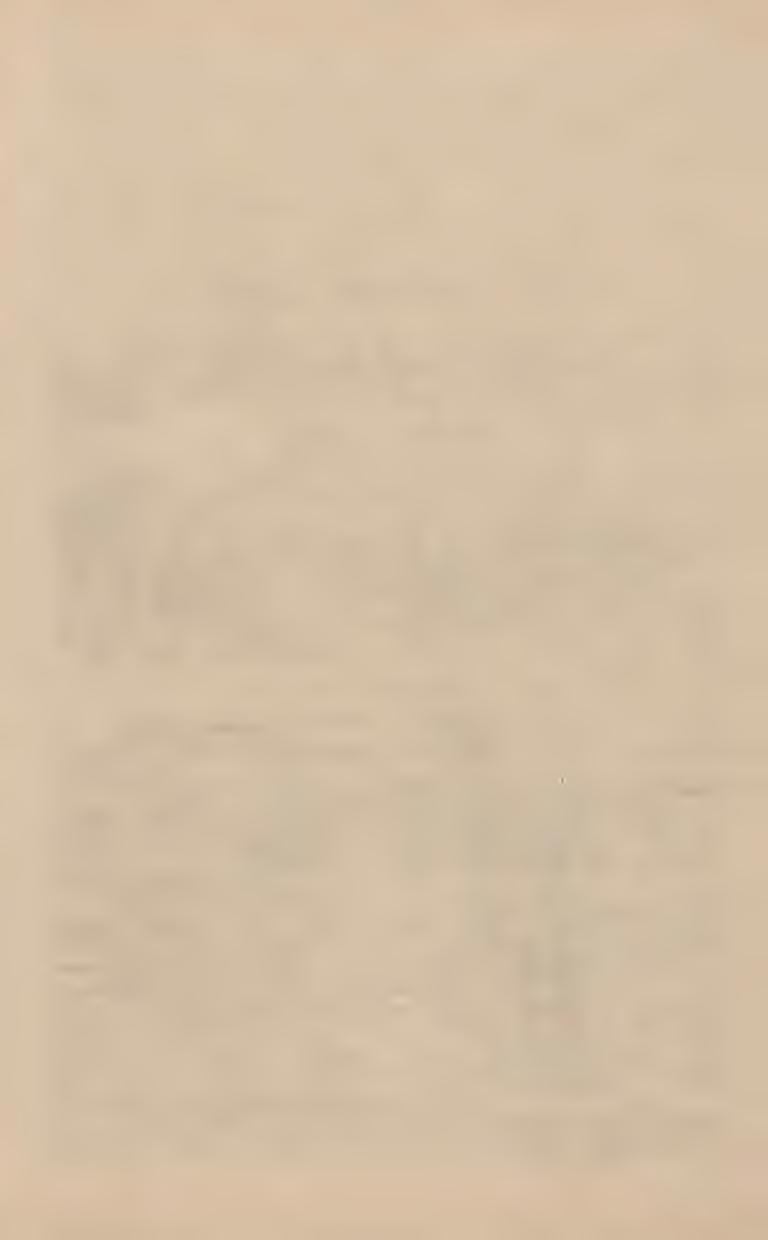 K arabin austriacki W. 90. Karabin austrjacki W. 90, syst.