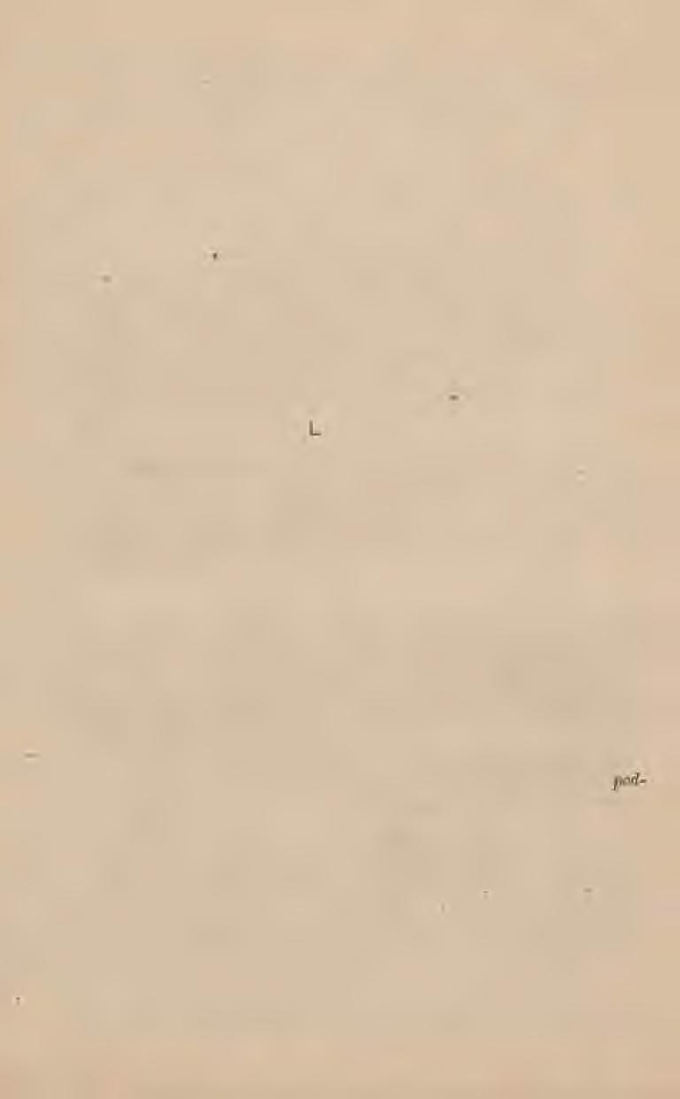 Karabin włoski W. 91. Karabin włoski syst. Mannlicher Carcano W. 91 jest bronią 6-strzałową, z magazynkiem u dołu otwartym, z zamkiem 4-chwytowym, zaryglowanym symetrycznie.