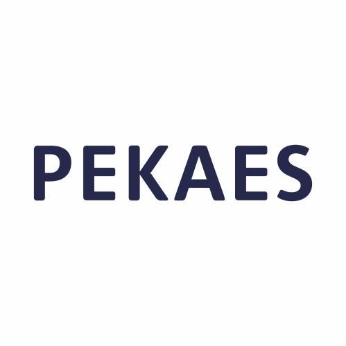 SPRAWOZDANIE ZARZĄDU PEKAES SA ZA