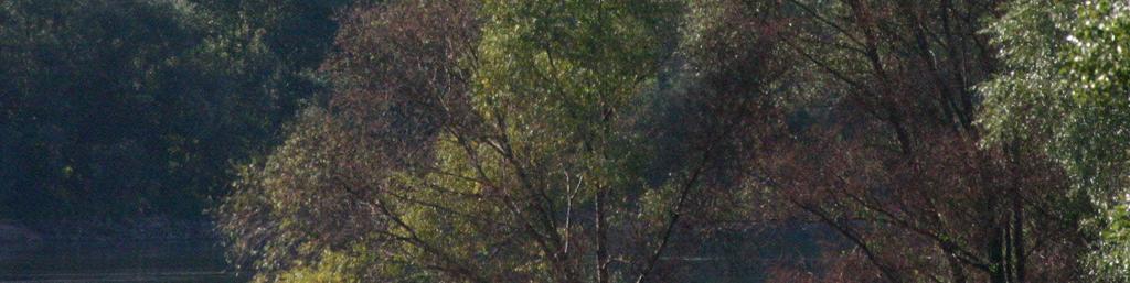 archeologicznych strefach ochronnych Nadzór