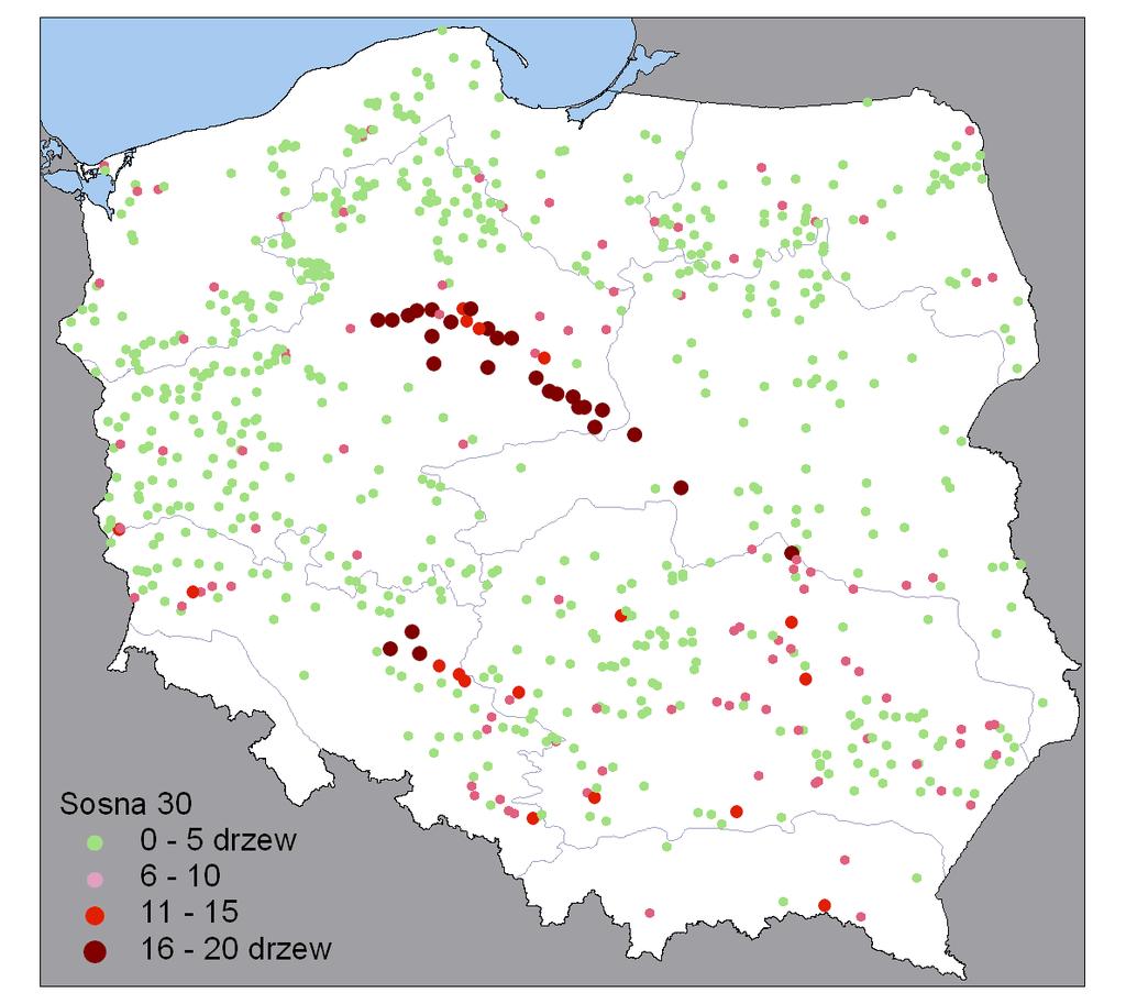 SOSNA: udział drzew osłabionych i usuniętych (CH) na SPO 2005 2014 Rok Łączna liczba SPO % SPO o udziale drzew