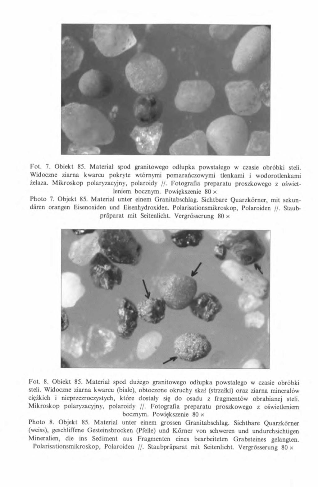 Fot. 7. Obiekt 85. Material spod granitowego od lupka powstałego w czasie obróbki steli. Widoczne ziarna kwarcu pokryte wtórnymi pomarańczowymi tlenkami i wodorotlenkami żelaza.