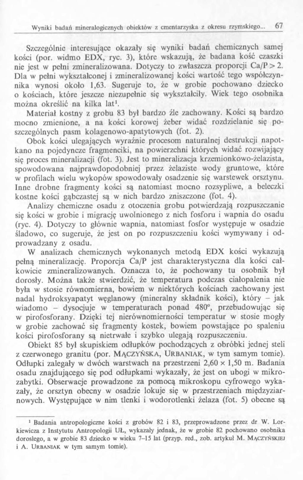 Szczególnie interesujące okazały się wyniki badań chemicznych samej kości (por. widmo EDX, ryc. 3), które wskazują, że badana kość czaszki nic jest w pełni zmincralizowana.