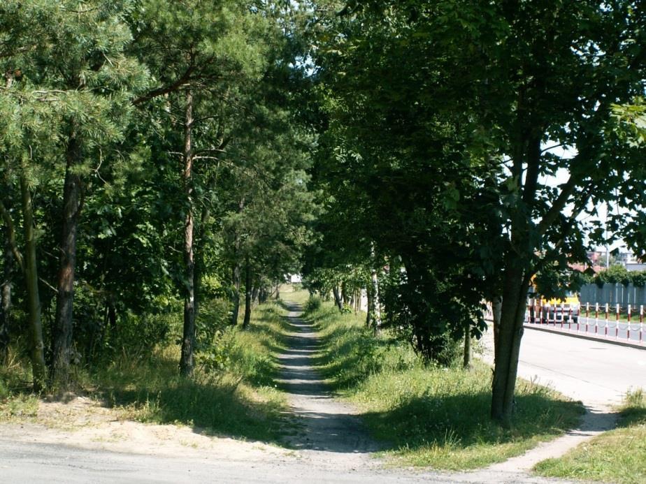 Droga rowerowa Gostyń Piaski Droga rowerowa kończy się w Piaskach na skrzyżowaniu z ul. Leśną. Projektuje się ustawienie drogowskazu rowerowego dotyczącego trasy rowerowej nr 3 i 4 Odcinek ul.