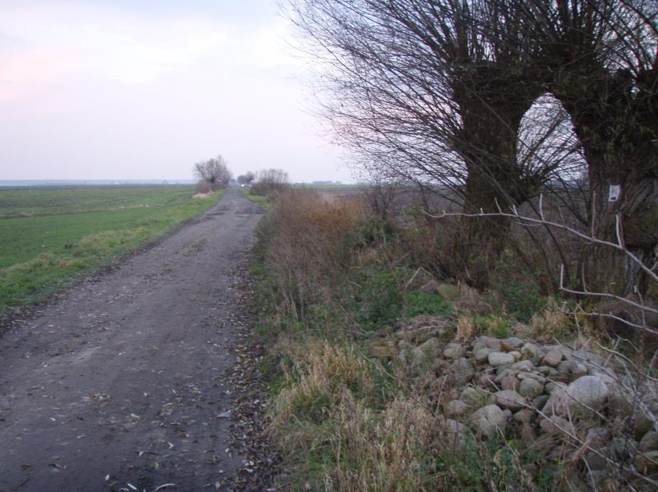 Droga Ludwinowo Domachowo wymaga fragmentami naprawy Na początku wsi Domachowo (strona południowa) połączenie z trasą rowerową nr 10 wyznaczoną po torze kolejowym Gostyń Krobia.