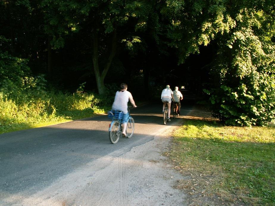 Przy kościele projektuje się ustawienie stojaków rowerowych Koszt wykonania drogi rowerowej asfaltowej o szerokości 2,0 i długości około 16 km (odliczono odcinek istniejącej drogi pieszo-rowerowej)