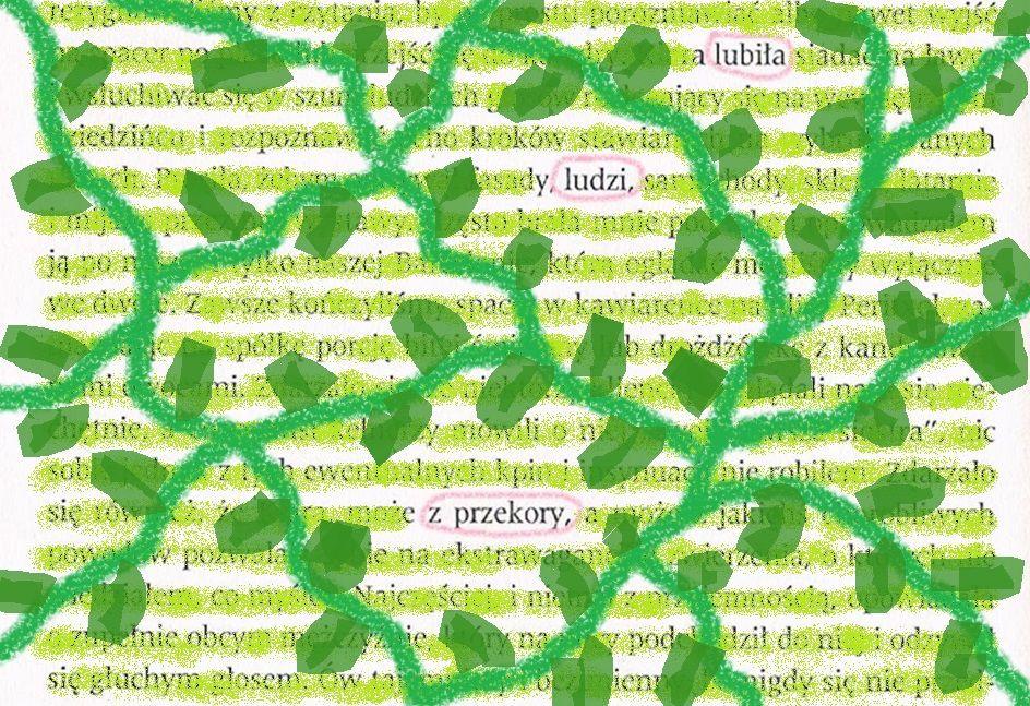 tworząc ilustrację do swojego wiersza, minimalna ilość wersów wiersza: 8, FORMAT: A4 PRZYKŁAD WIERSZA Z ODZYSKU PONIŻEJ: 4.
