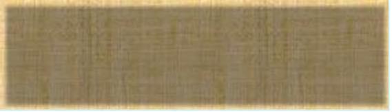 3010 South 48th Ct. Cicero, IL 60804 Tel. 708-652-0948 Fax. 708-652-0646 Website: www.stmaryofczestochowa.