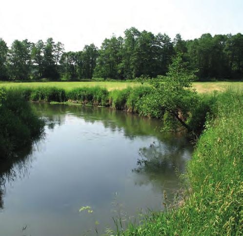 Monitoring geochemiczny osadów Badania osadów wodnych rzek i jezior wykonywane są przez Państwowy Instytut Geologiczny w ramach podsystemu Państwowego Monitoringu Środowiska - Monitoring jakości