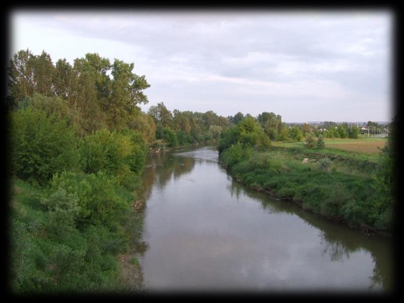 rów chronionych wrażliwych na eutrofizację wywołaną zanieczyszczeniami pochodzącymi ze źródeł komunalnych; 5) JCWP San od Tyrawki do Olszanki monitorowana w m.