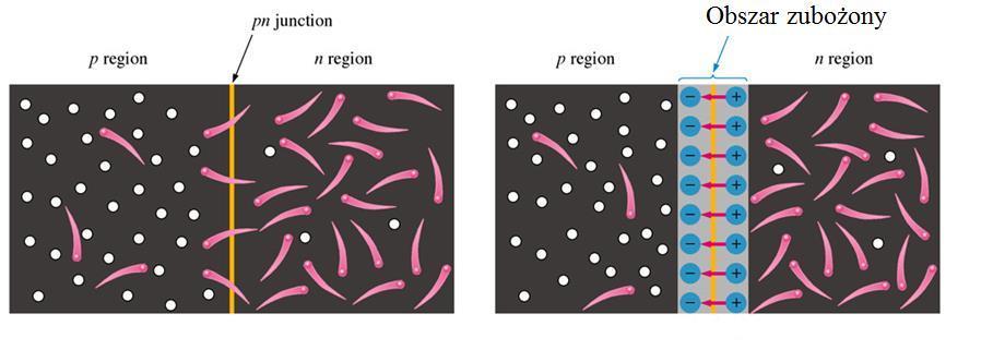 Złącze p-n Złącze p-n Tworzy się złącze p-n E Złącze po utworzeniu Pole elektryczne na styku dwóch