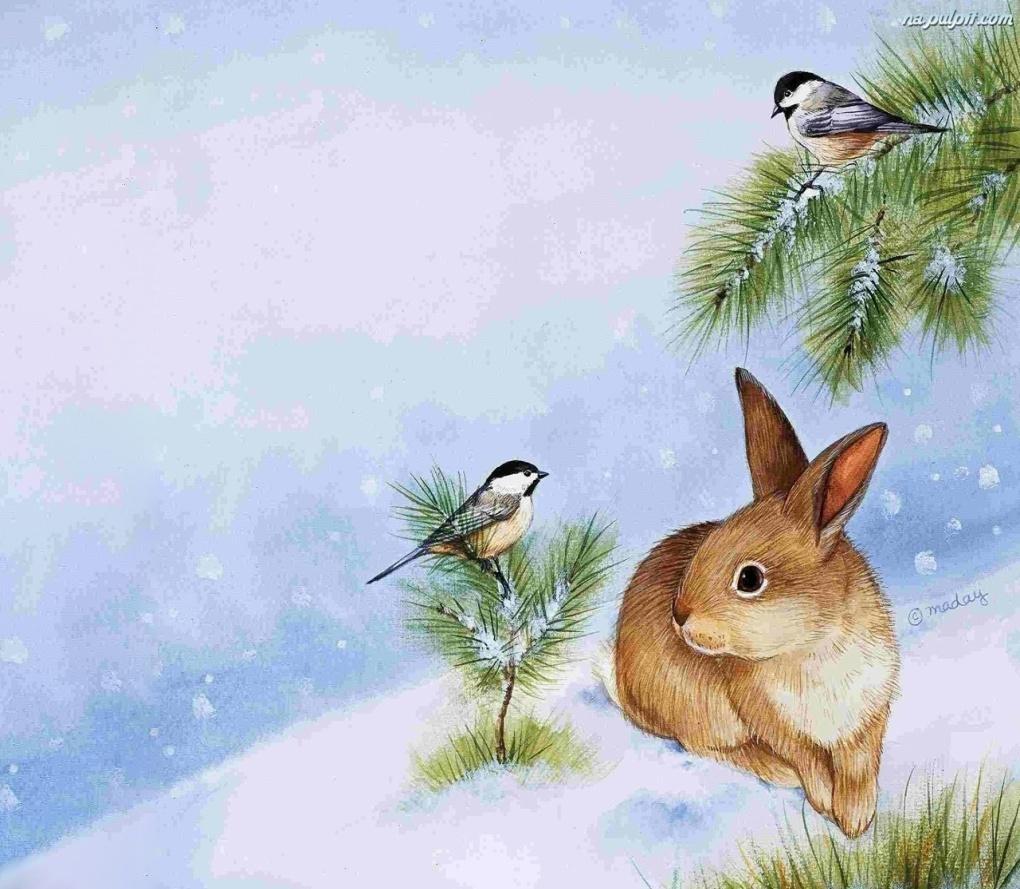Wiersz B. Lewandowskiej Wesoły królik Za różową górą, za niebieskim lasem mieszkał biały królik, wesoły grubasek.