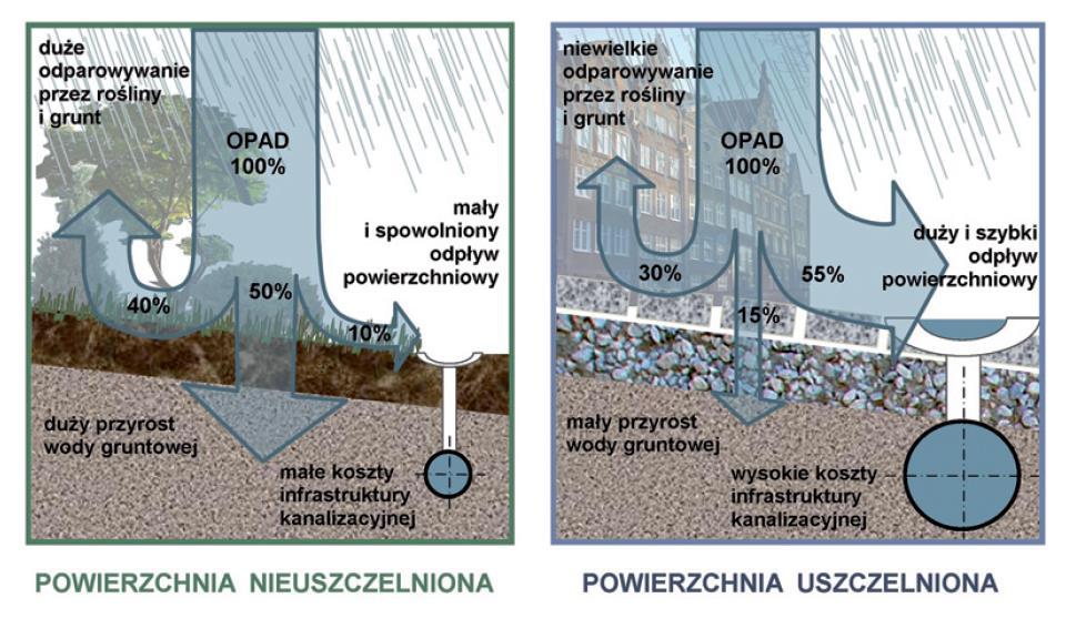 Zmiana sposobu myślenia Porównanie wielkości odpływu