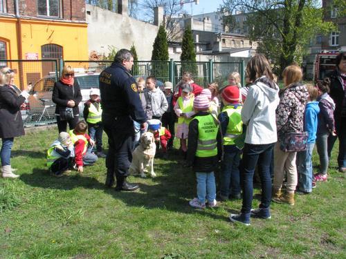 przeprowadzonych przez Straż Pożarną, w