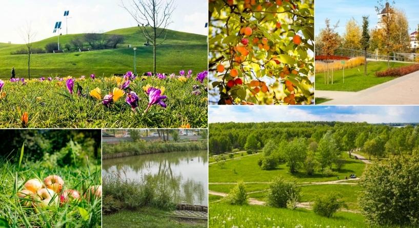 Zielone miejsca na Ursynowie. Które Wasze ulubione? data aktualizacji: 2018.04.14 Kilkanaście parków, skwerów i jeziorek. Każda część Ursynowa ma swoje ulubione zielone miejsce.