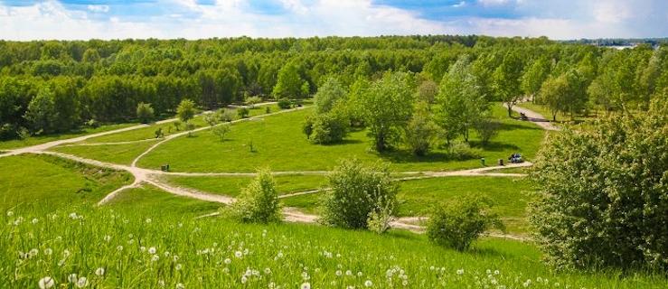 Powstaną nowe ciągi spacerowe i biegowe, droga rowerowa, plac centralny i aleja z oświetleniem parkowym. W planach znajdują się także place zabaw dla dzieci, ławki, stoły, urządzenia do gier.