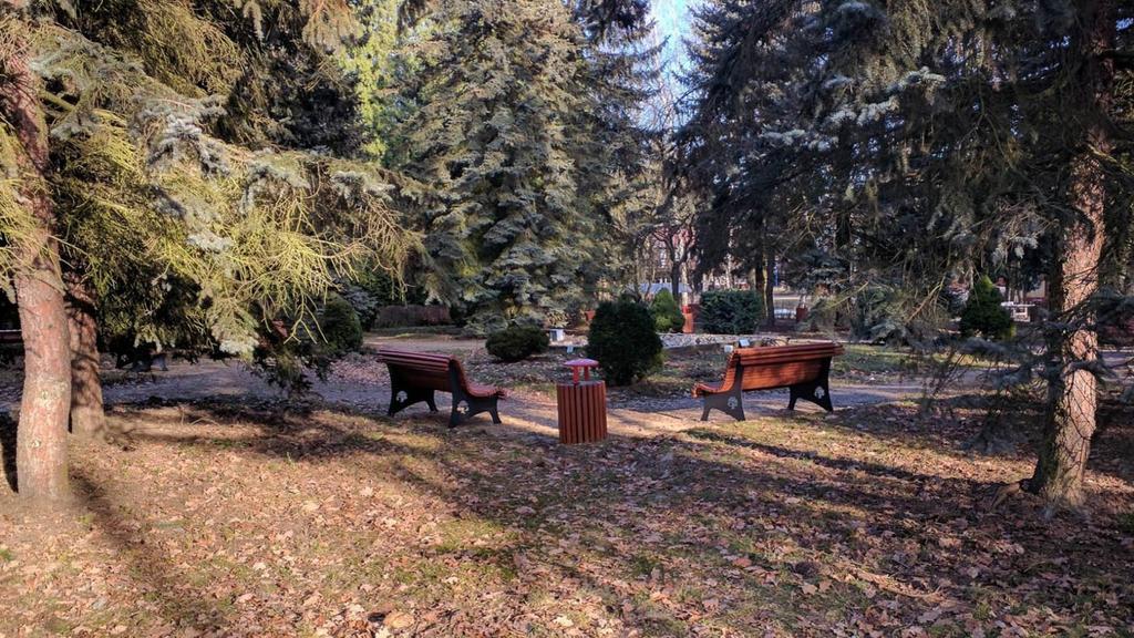 Obecnie Park Kultury przechodzi rewitalizację, wymieniono już część małej architektury, zmodernizowano korty tenisowe i wyłoniono wykonawcę placu zabaw. Wśród atrakcji znajdą się m.in.