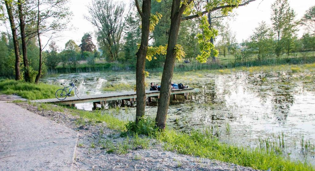 Wzdłuż wytyczonych ścieżek pojawiły się ławki i kosze na śmieci. Nad jeziorem wyznaczono 4 miejsca na ogniska, ale największą atrakcją są drewniane pomosty ciągnące się wokół wody.