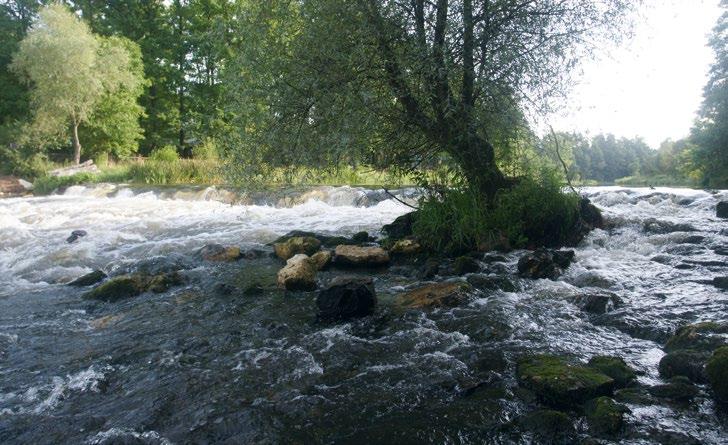2008, REFORM 2015 sekcja Allow/increase lateral channel migration or river mobility i lit. tam cyt.). Z punktu widzenia prac utrzymaniowych oznacza to np.