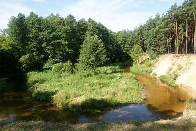 czynnik pozytywny dla lokalnej różnorodności biologicznej i