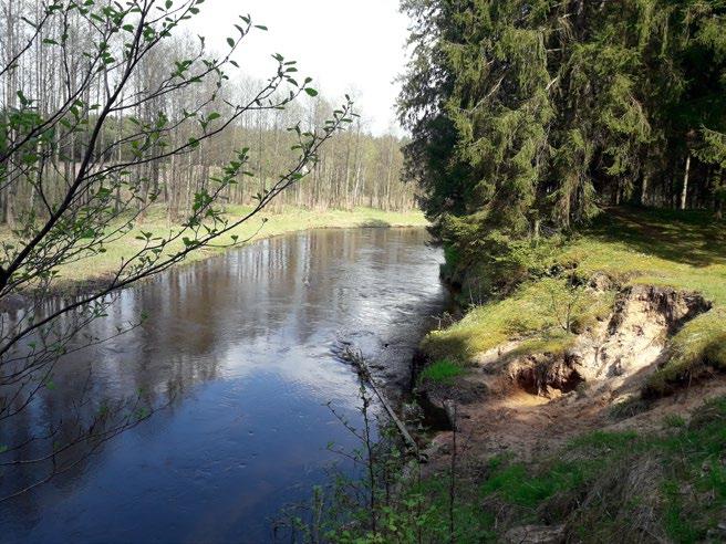 zwierząt.