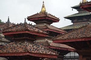 @gmail.com 11 9.04 PRZEJAZD POWROTNY DO KATMANDU (6-7 godzin) VAN 12 10.