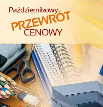 SEGREGATOR STOJĄCY pakowany po 2 szt.