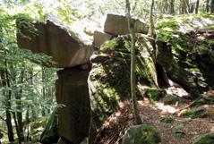 Rezerwat o powierzchni 11,90 ha obejmuje grupę skał zbudowanych z gruboławicowych, średnio i gruboziarnistych piaskowców z Wątkowej formacji magurskiej.