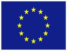 Projekt Wykorzystywanie seksualne dzieci w placówkach opiekuńczo-wychowawczych, finansowany w ramach Programu Daphne III 2007-2013 prowadzonego przez Komisję Europejską,