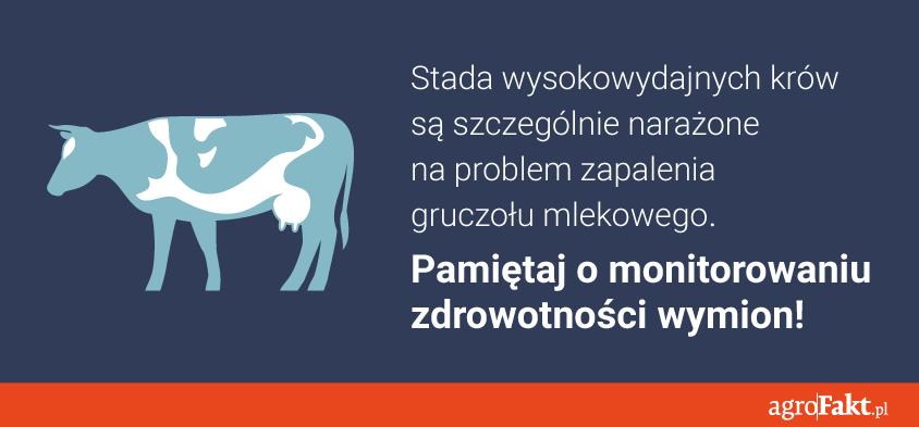 .pl https://www..pl Od cichego ataku po atak frontalny W zależności od intensywności objawów mastitis przybiera różne postaci od podklinicznych po objawy kliniczne.