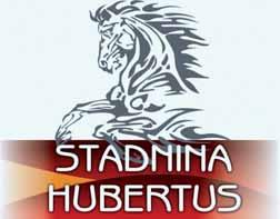 Zajęcia hipoterapii w Stadninie Hubertus PODSTAWOWE ZASADY: Celem terapii z koniem jest przywrócenie pacjentom sprawności fizycznej i psychicznej w możliwym do osiągnięcia zakresie.