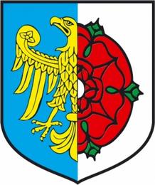 organizatora danych osobowych w zakresie niezbędnym do przeprowadzenia i promocji
