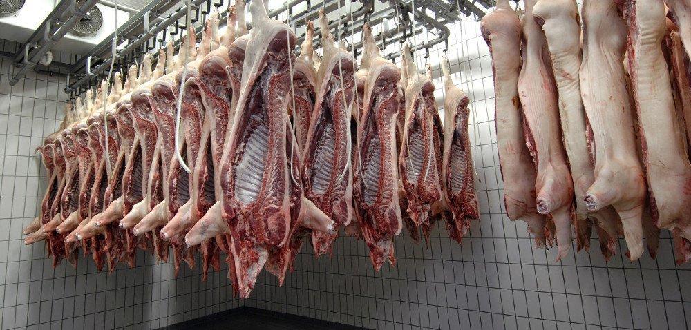 .pl https://www..pl Technika uboju mięsa wpływa na jego jakość! Autor: prof. dr hab. inż. Damian Knecht Data: 21 września 2018 Prawidłowy ubój zwierząt rzeźnych wymaga odpowiedniego przygotowania.