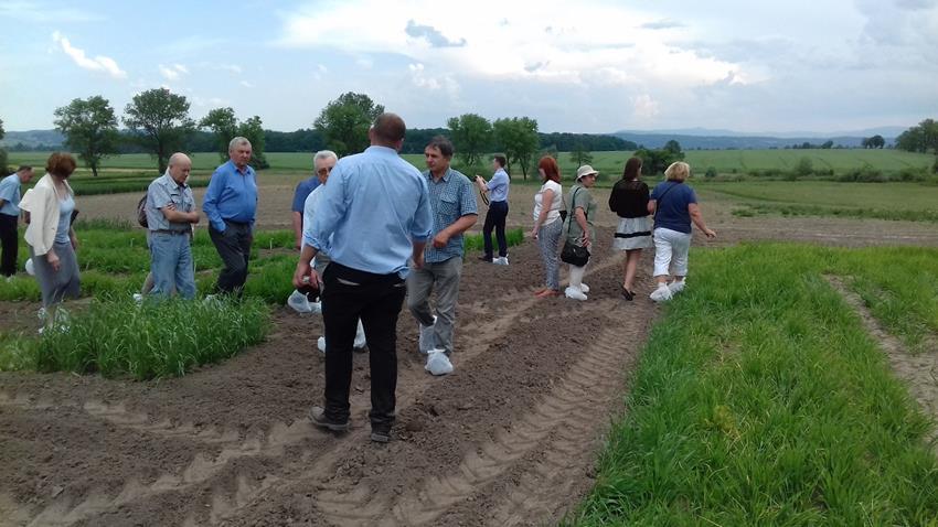 znaczenia roślinnych zasobów genowych