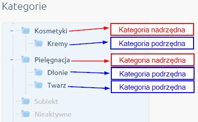 7.1.1.2.3 Ustawienia kategorii W tym rozdziale został opisany sposób w jaki należy postępować, aby w prawidłowy sposób przyporządkować kategorię z Subiekta w sklepie Shoper.