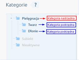 Synchronizator Shoper umożliwia odwzorowanie kategorii dodatkowych. Pierwszym krokiem jest utworzenie drzewa kategorii dodatkowych.